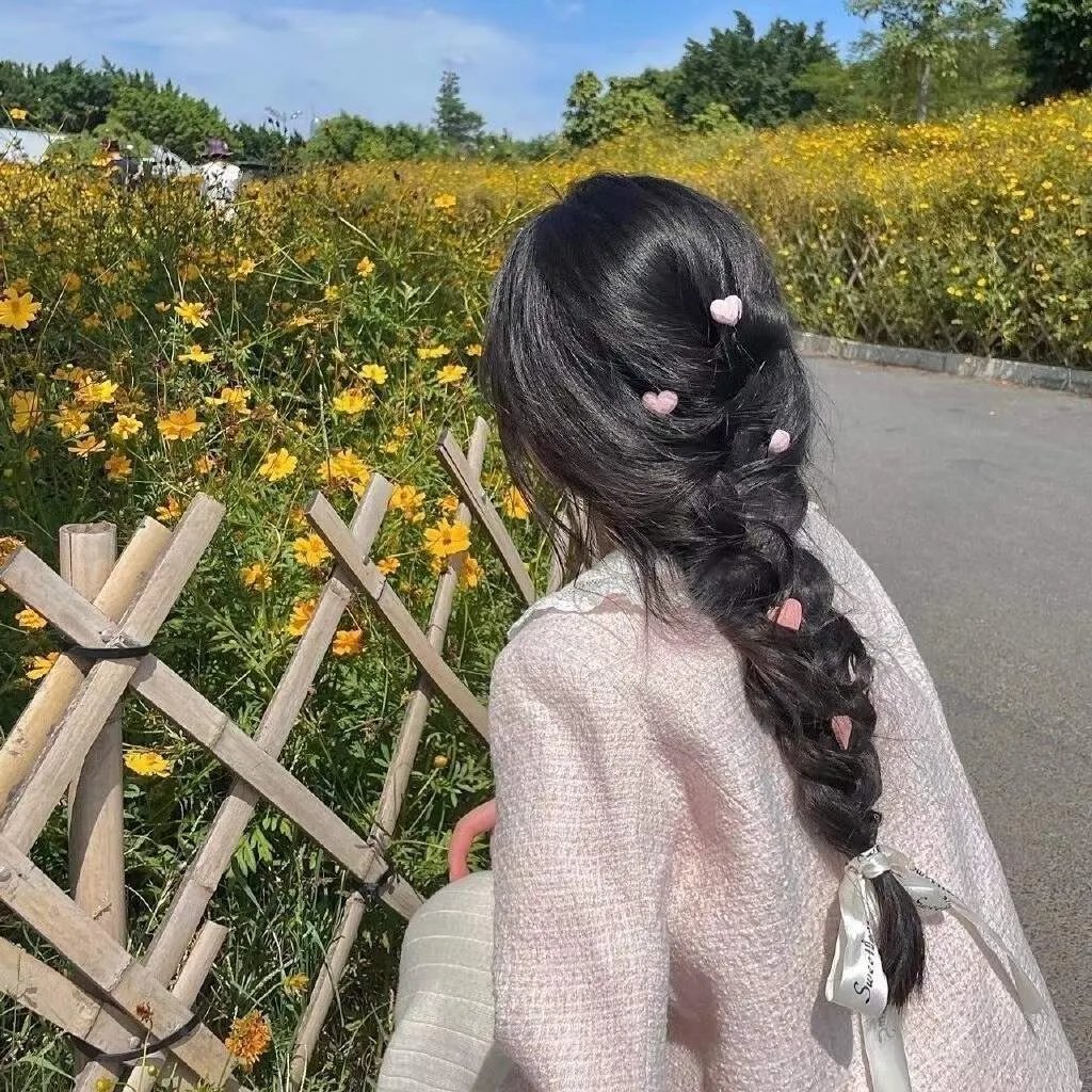 来自收容所的爱